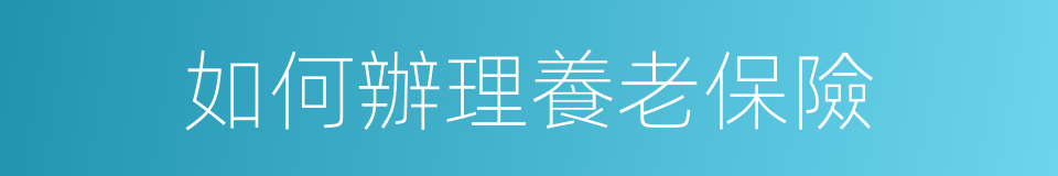 如何辦理養老保險的同義詞