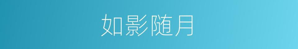 如影随月的同义词