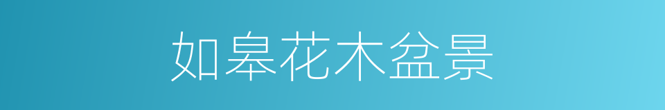 如皋花木盆景的同义词