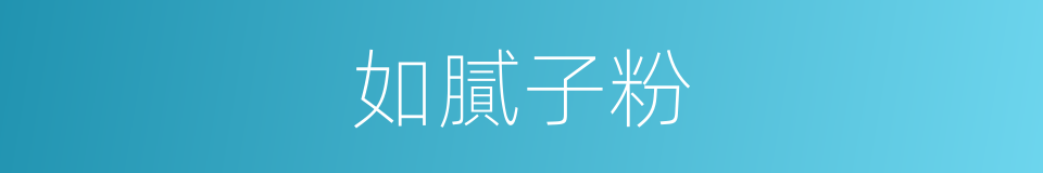 如膩子粉的同義詞