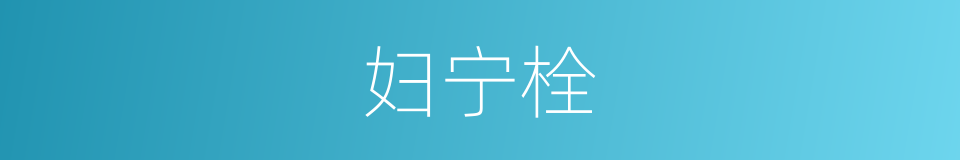 妇宁栓的同义词