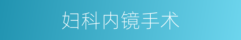 妇科内镜手术的同义词