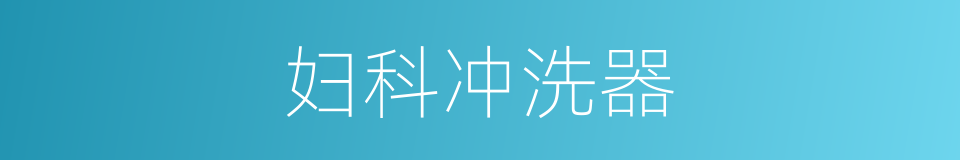 妇科冲洗器的同义词