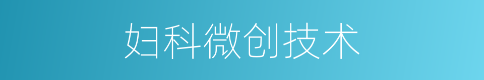 妇科微创技术的同义词