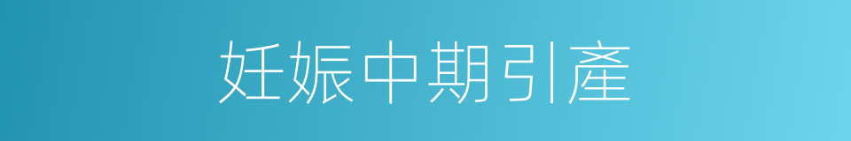 妊娠中期引產的同義詞