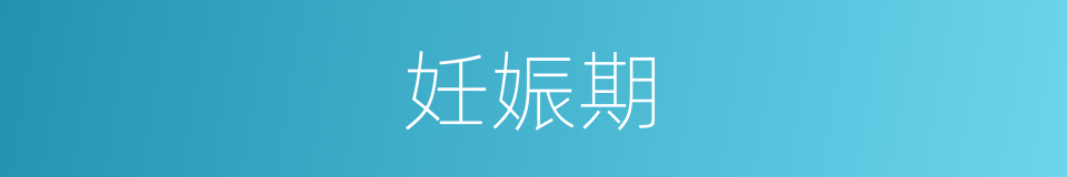 妊娠期的意思