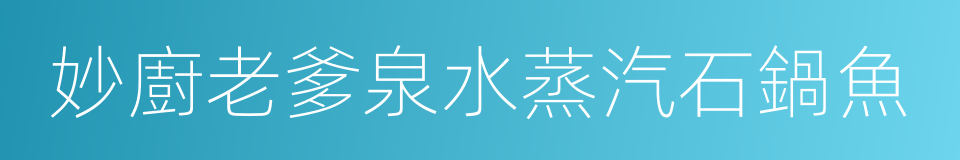 妙廚老爹泉水蒸汽石鍋魚的同義詞