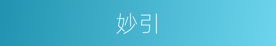 妙引的意思