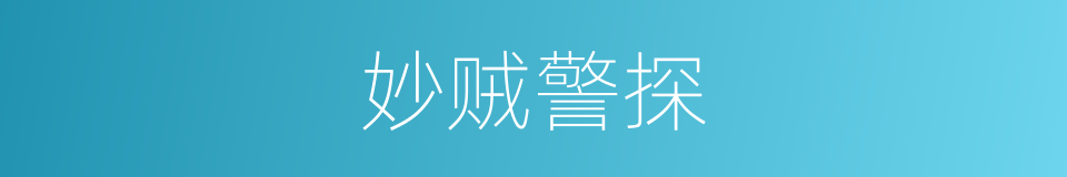 妙贼警探的同义词