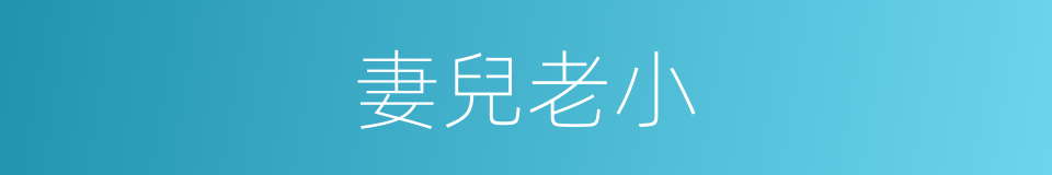 妻兒老小的意思