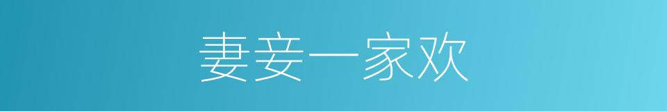 妻妾一家欢的同义词