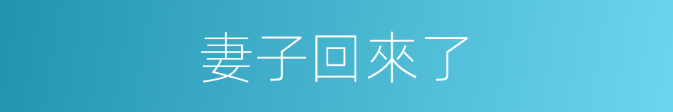 妻子回來了的同義詞