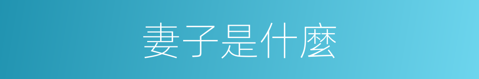 妻子是什麼的同義詞