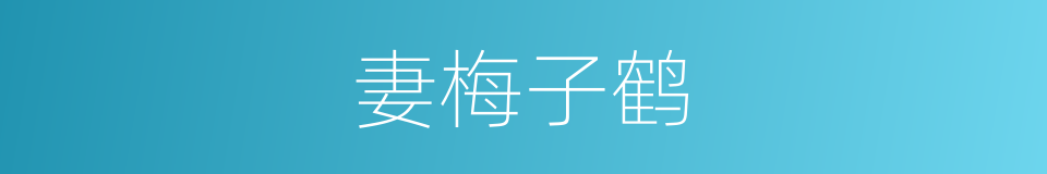 妻梅子鹤的意思