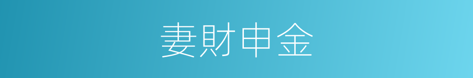 妻財申金的同義詞