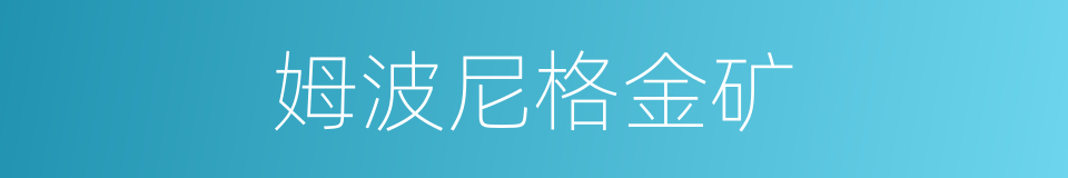 姆波尼格金矿的同义词