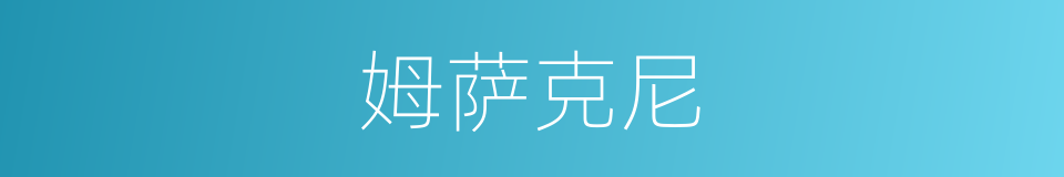 姆萨克尼的同义词