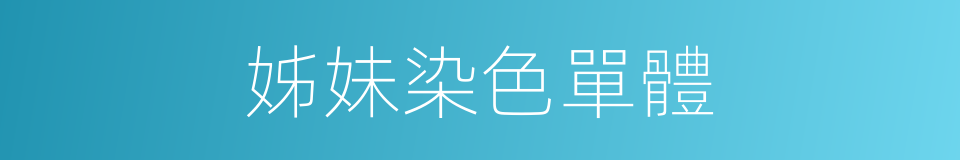姊妹染色單體的同義詞