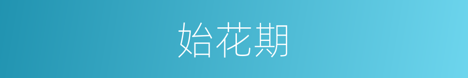 始花期的同义词