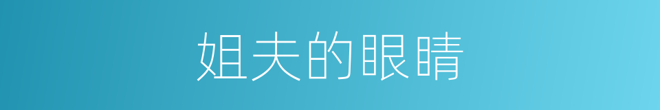 姐夫的眼睛的同义词