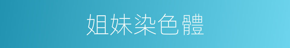 姐妹染色體的同義詞