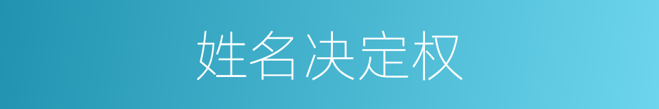 姓名决定权的同义词