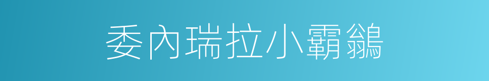 委內瑞拉小霸鶲的同義詞