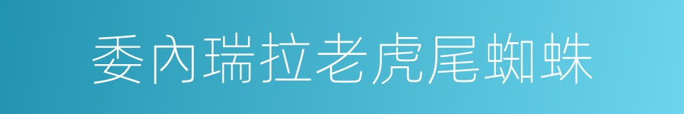 委內瑞拉老虎尾蜘蛛的同義詞
