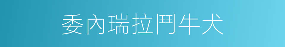 委內瑞拉鬥牛犬的同義詞