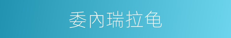 委內瑞拉龟的同義詞