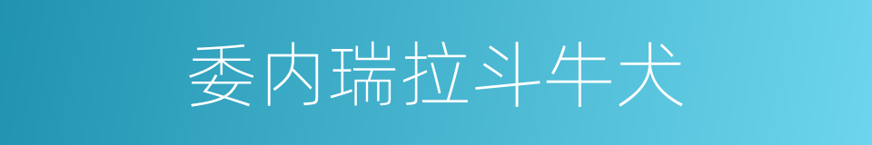 委内瑞拉斗牛犬的同义词