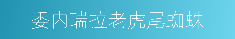 委内瑞拉老虎尾蜘蛛的同义词