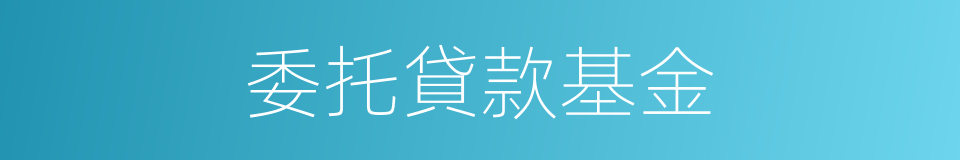 委托貸款基金的同義詞