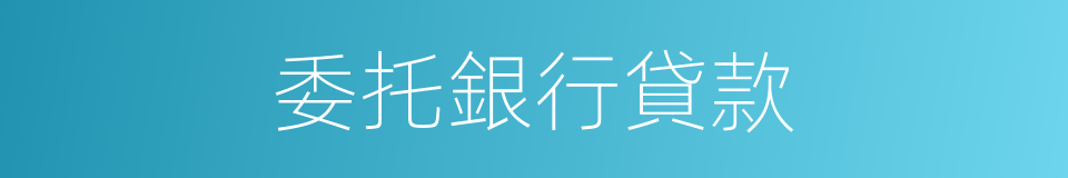 委托銀行貸款的同義詞