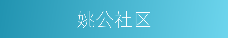 姚公社区的同义词