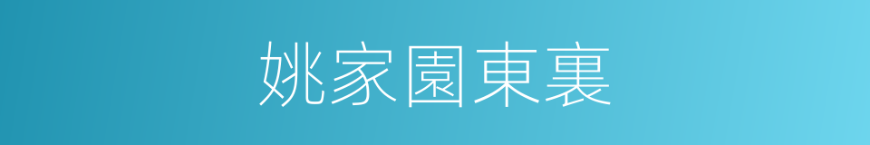 姚家園東裏的同義詞