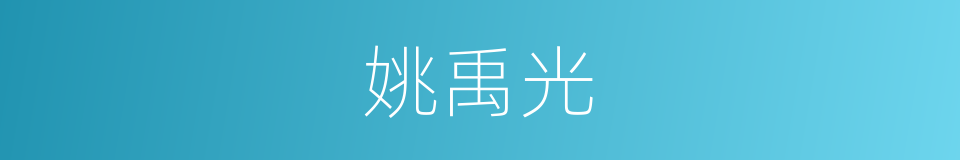 姚禹光的同义词