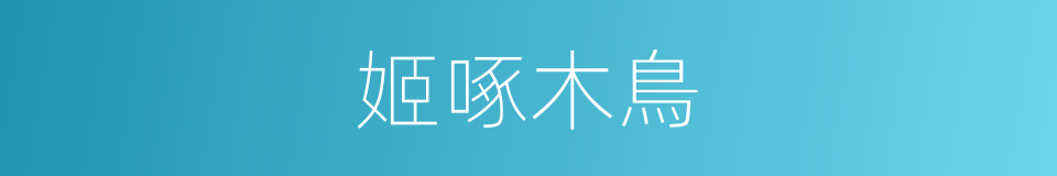 姬啄木鳥的同義詞