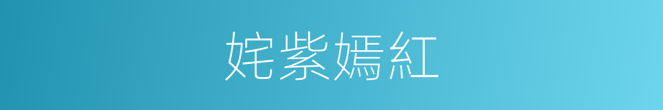 姹紫嫣紅的意思