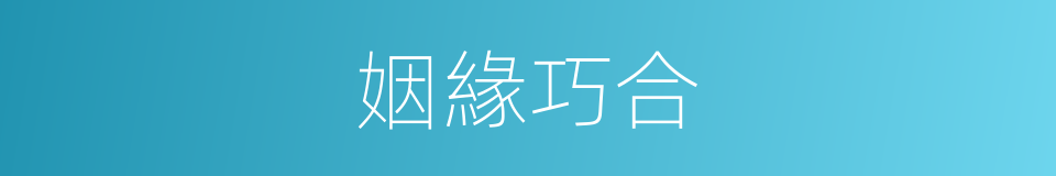姻緣巧合的同義詞