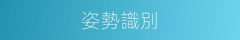 姿勢識別的同義詞