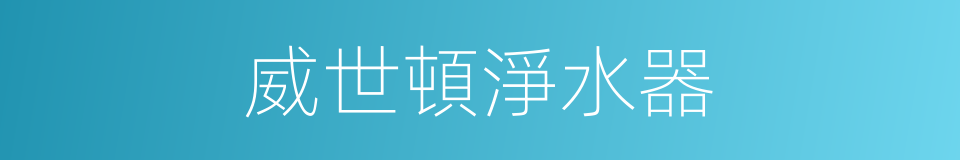 威世頓淨水器的同義詞