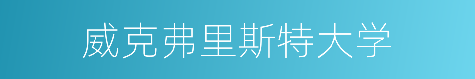 威克弗里斯特大学的同义词