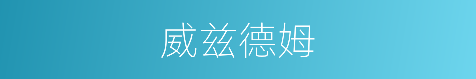 威兹德姆的同义词