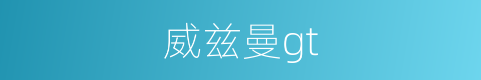 威兹曼gt的同义词