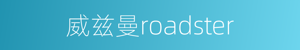 威兹曼roadster的同义词