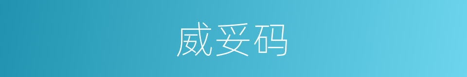 威妥码的同义词