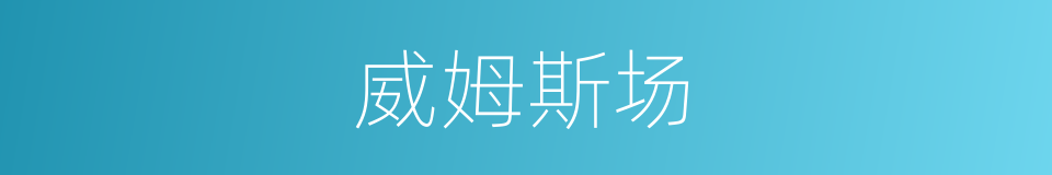 威姆斯场的同义词