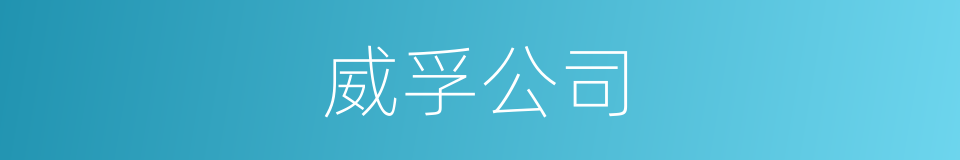 威孚公司的同义词