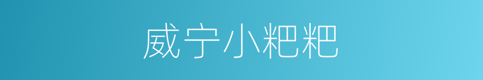 威宁小粑粑的同义词